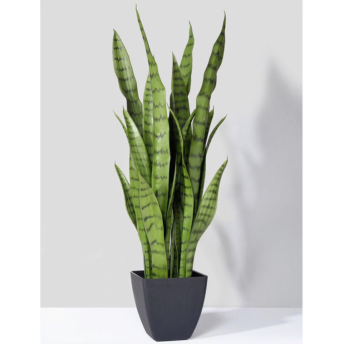 Snake Plant in Black Pot - 28"-0